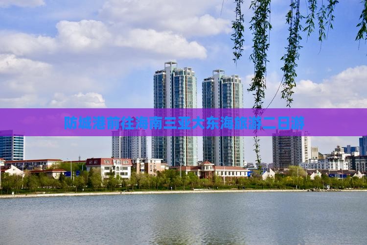 防城港去三亚大东海二日游