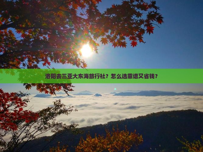 洛阳去三亚大东海旅行社
