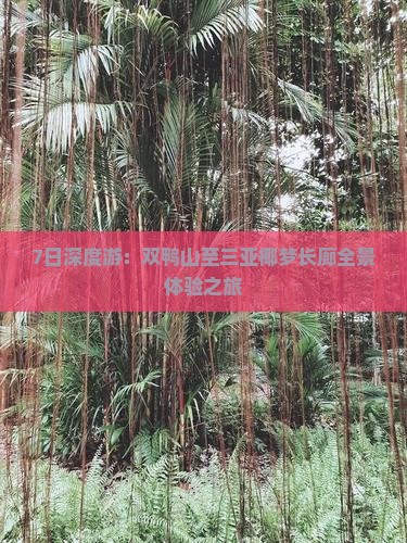 7日深度游：双鸭山至三亚椰梦长廊全景体验之旅