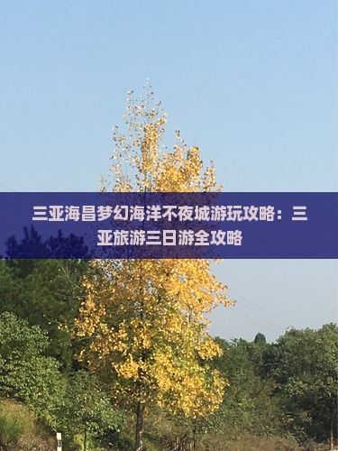 三亚海昌梦幻海洋不夜城游玩攻略：三亚旅游三日游全攻略