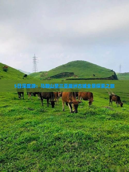 5日深度游：马鞍山至三亚崖洲古城全景探索之旅