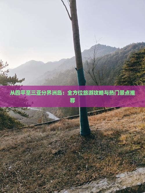 从四平至三亚分界洲岛：全方位旅游攻略与热门景点推荐