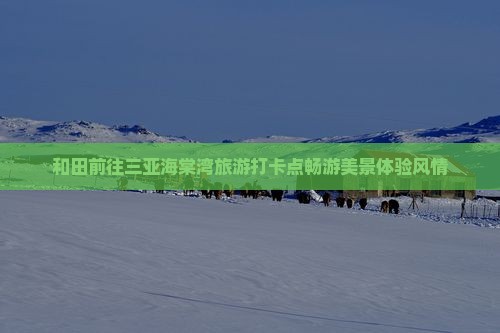 和田前往三亚海棠湾旅游打卡点畅游美景体验风情