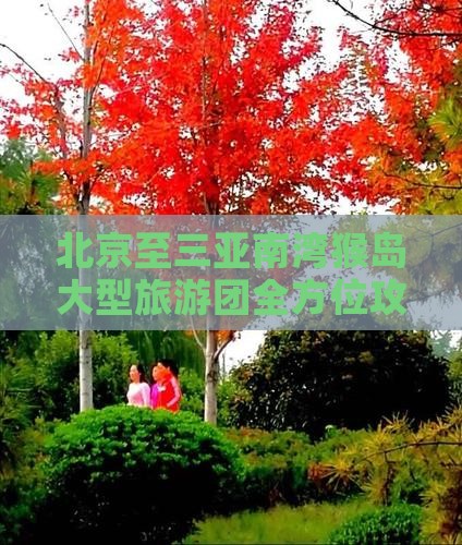 北京至三亚南湾猴岛大型旅游团全方位攻略