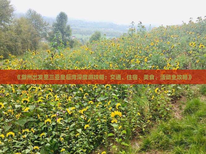 《滁州出发至三亚皇后湾深度游攻略：交通、住宿、美食、活动全攻略》