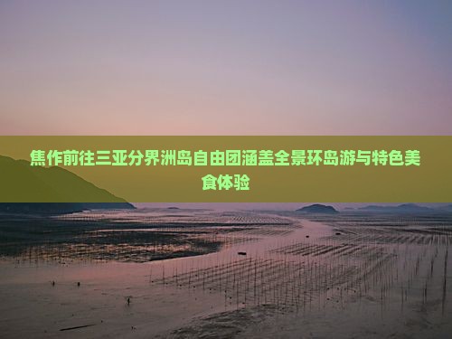 焦作前往三亚分界洲岛自由团涵盖全景环岛游与特色美食体验