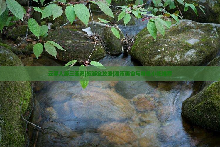 云浮人游三亚湾|旅游全攻略|海南美食与特色小吃推荐