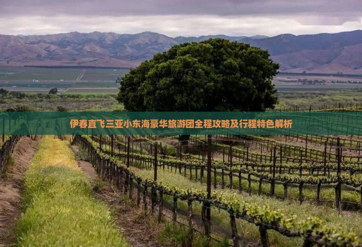 伊春直飞三亚小东海豪华旅游团全程攻略及行程特色解析