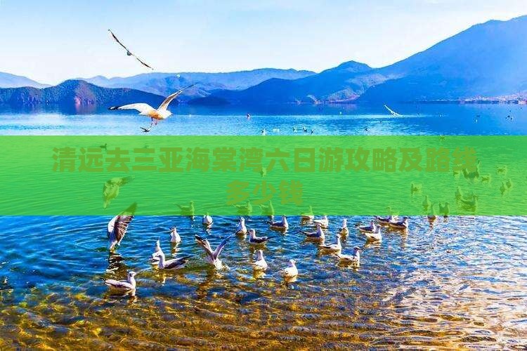 清远去三亚海棠湾六日游攻略及路线多少钱