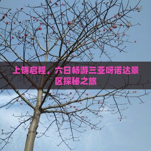 上饶启程，六日畅游三亚呀诺达景区探秘之旅
