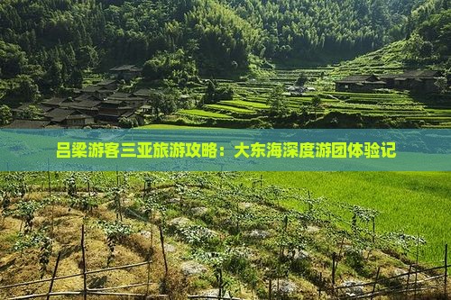 吕梁游客三亚旅游攻略：大东海深度游团体验记