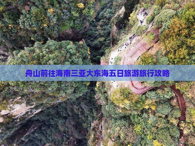 舟山前往海南三亚大东海五日旅游旅行攻略