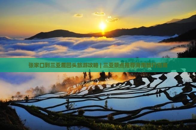 张家口到三亚鹿回头旅游攻略 | 三亚景点推荐海南旅行指南