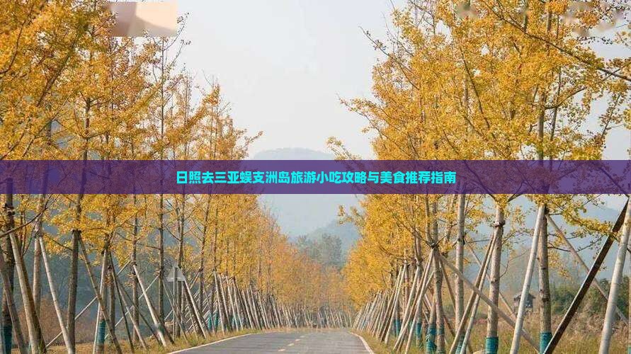 日照去三亚蜈支洲岛旅游小吃攻略与美食推荐指南