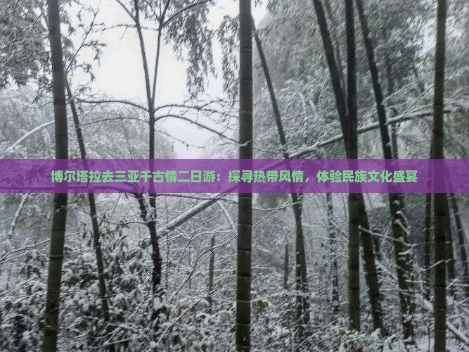 博尔塔拉去三亚千古情二日游：探寻热带风情，体验民族文化盛宴