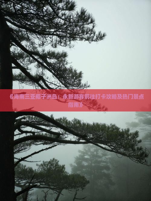 《海南三亚椰子洲岛：永新游客前往打卡攻略及热门景点指南》