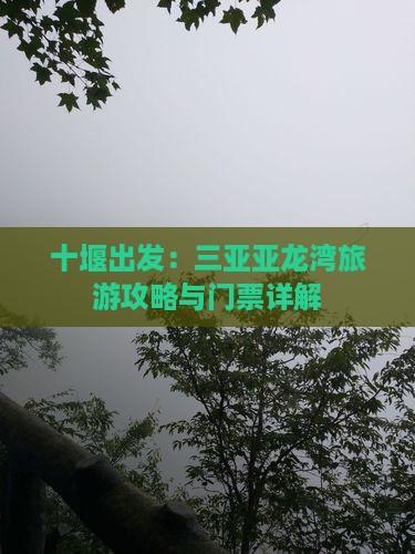 十堰出发：三亚亚龙湾旅游攻略与门票详解