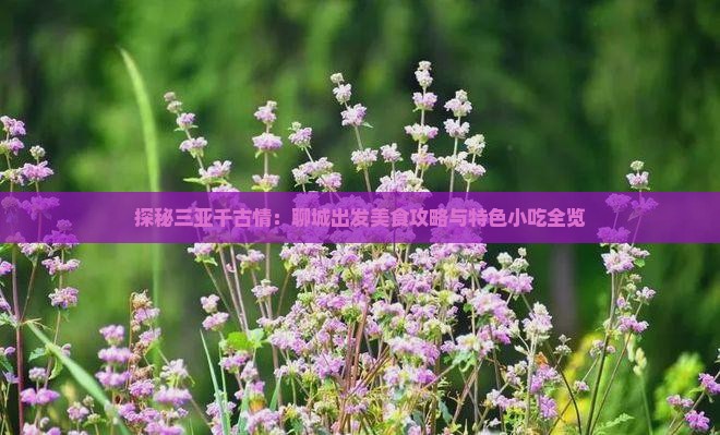 探秘三亚千古情：聊城出发美食攻略与特色小吃全览