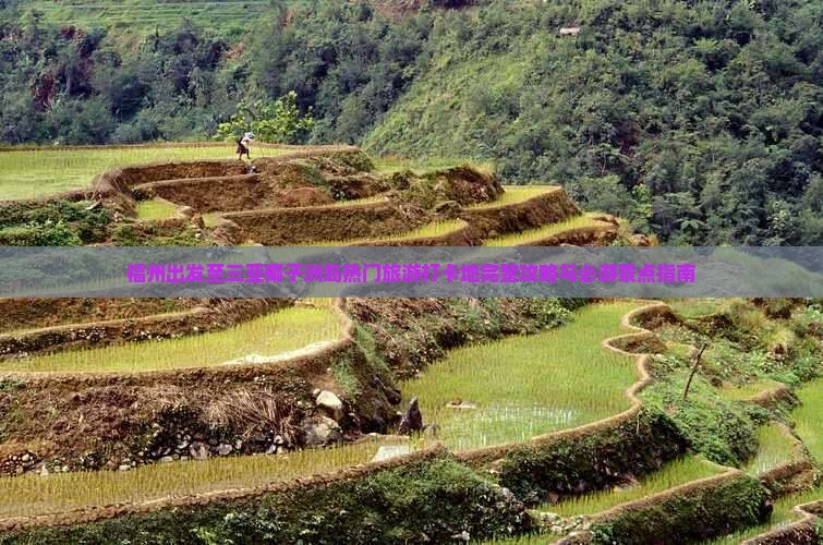 福州出发至三亚椰子洲岛热门旅游打卡地完整攻略与必游景点指南