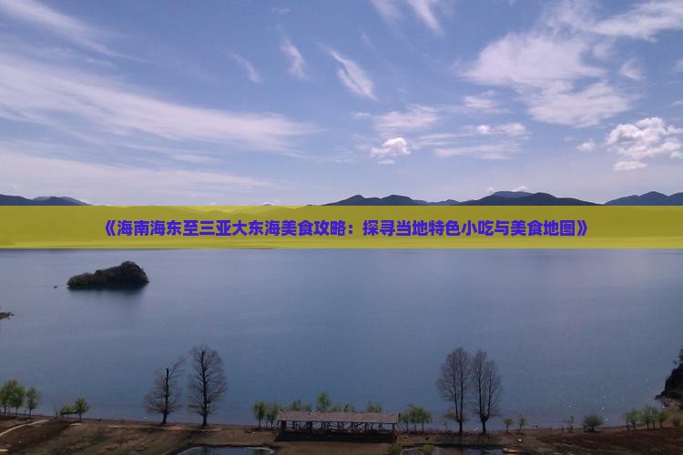 《海南海东至三亚大东海美食攻略：探寻当地特色小吃与美食地图》