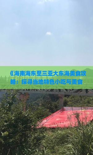 《海南海东至三亚大东海美食攻略：探寻当地特色小吃与美食地图》