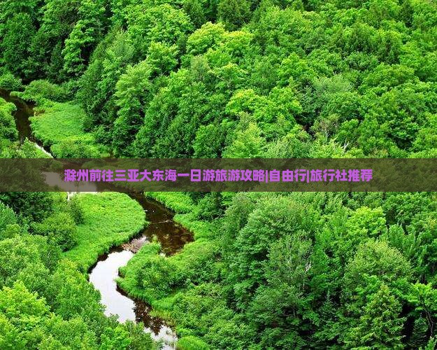 滁州前往三亚大东海一日游旅游攻略|自由行|旅行社推荐