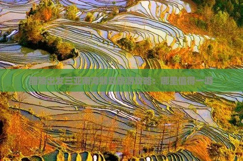醴陵出发三亚南湾猴岛旅游攻略：哪里值得一游