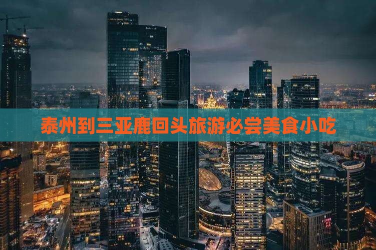 泰州到三亚鹿回头旅游必尝美食小吃