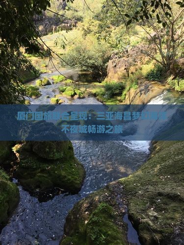 厦门国旅联合呈现：三亚海昌梦幻海洋不夜城畅游之旅