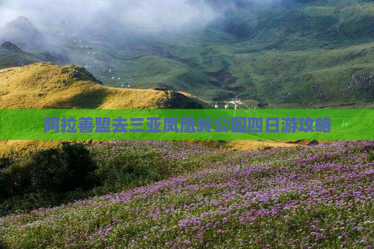 阿拉善盟去三亚凤凰岭公园四日游攻略