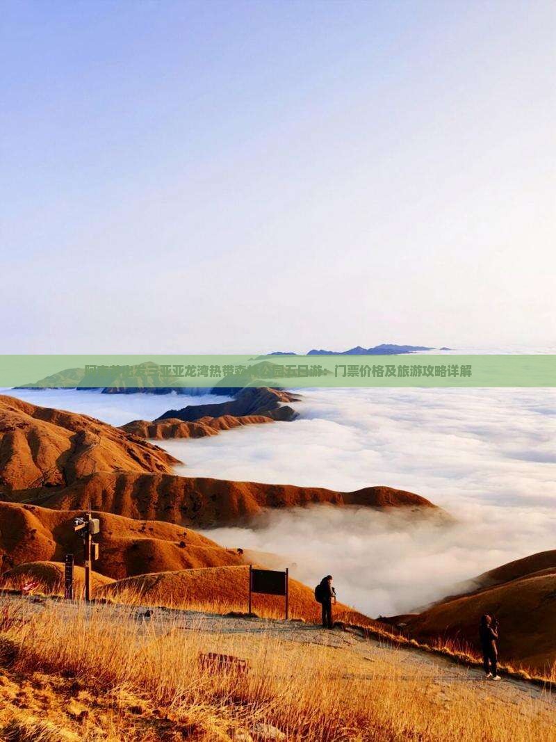 阿克苏出发三亚亚龙湾热带森林公园五日游：门票价格及旅游攻略详解