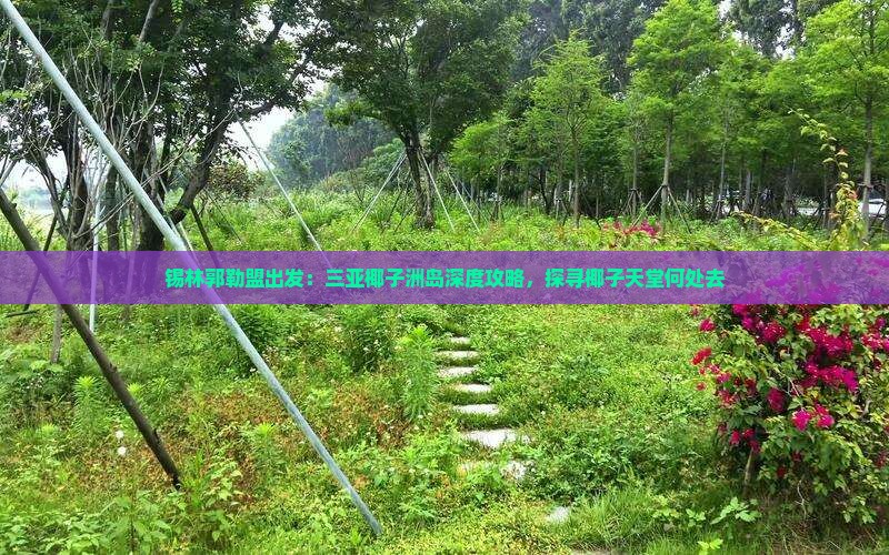 锡林郭勒盟出发：三亚椰子洲岛深度攻略，探寻椰子天堂何处去