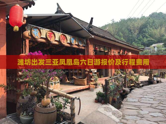 潍坊出发三亚凤凰岛六日游报价及行程费用