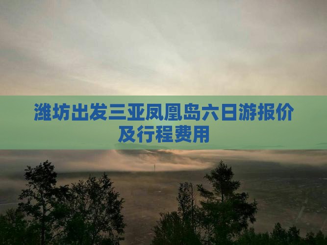 潍坊出发三亚凤凰岛六日游报价及行程费用