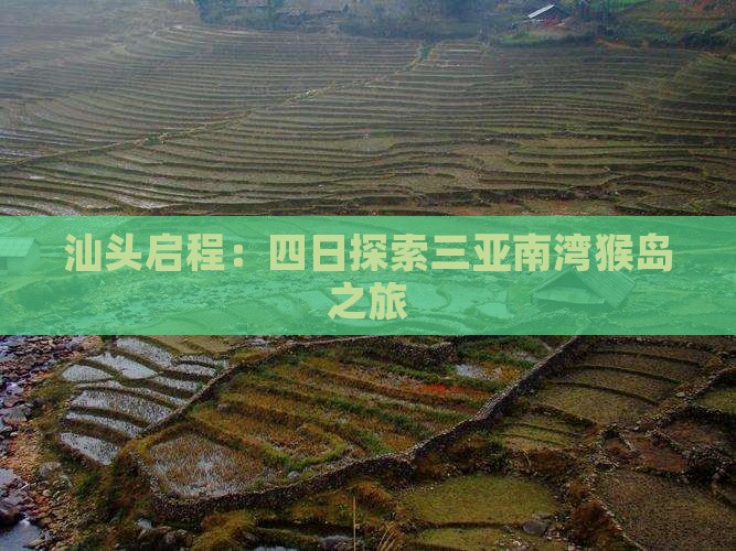 汕头启程：四日探索三亚南湾猴岛之旅