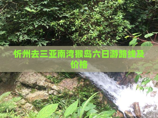 忻州去三亚南湾猴岛六日游路线及价格