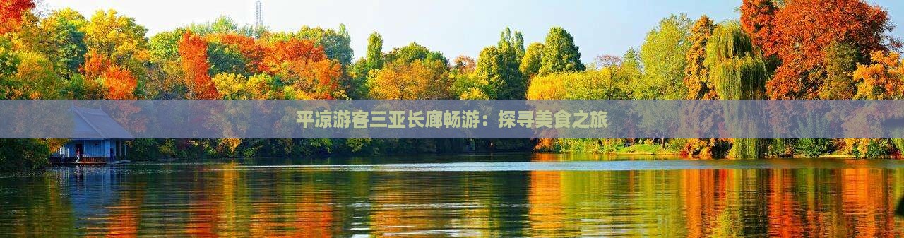 平凉游客三亚长廊畅游:探寻美食之旅 平凉游客三亚长廊畅游:探寻美食之旅