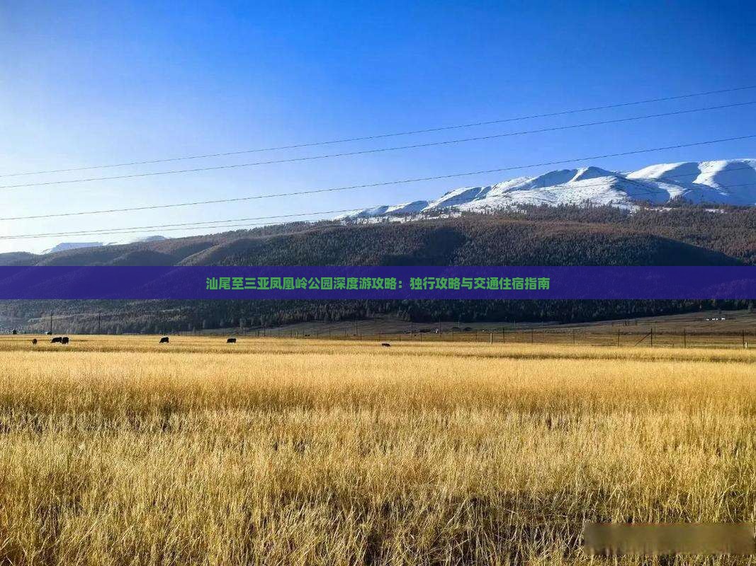 汕尾至三亚凤凰岭公园深度游攻略：独行攻略与交通住宿指南