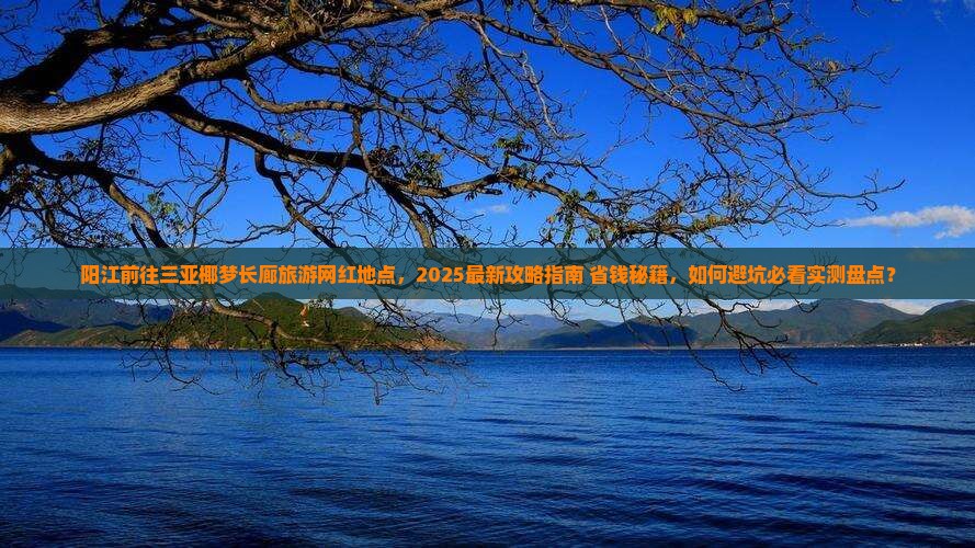 阳江前往三亚椰梦长廊旅游网红地点