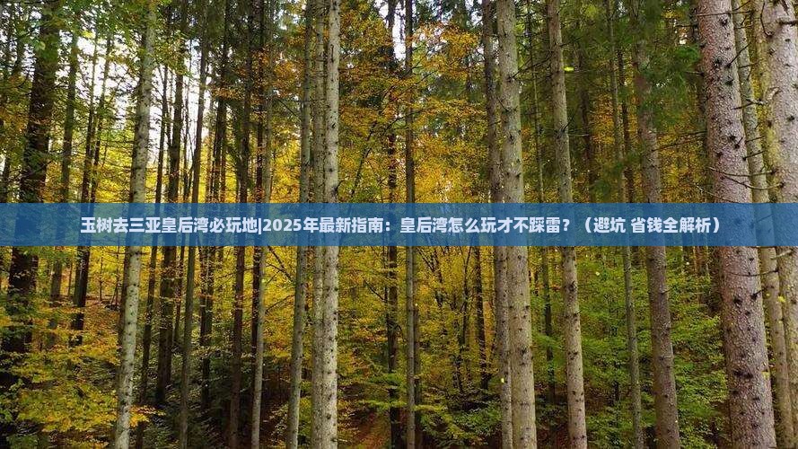 玉树去三亚皇后湾必玩地 玉树去三亚皇后湾必玩地
