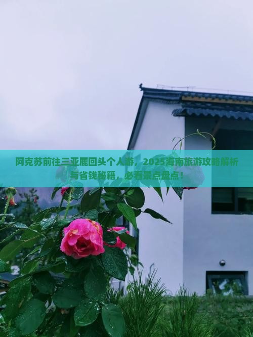 阿克苏前往三亚鹿回头个人游