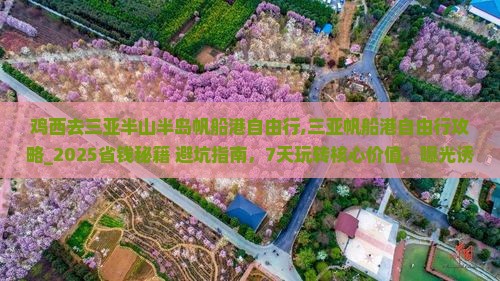 鸡西去三亚半山半岛帆船港自由行