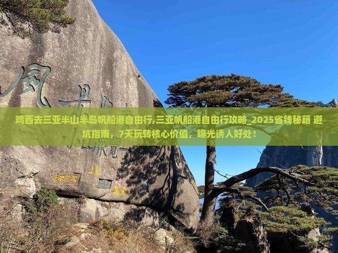 鸡西去三亚半山半岛帆船港自由行