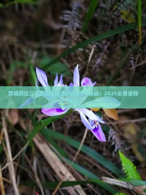 晋城前往三亚凤凰岛自由行