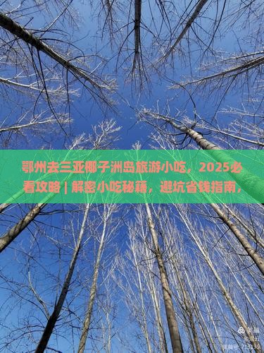 鄂州去三亚椰子洲岛旅游小吃