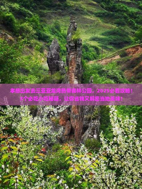 孝感前往三亚亚龙湾热带森林公园旅游小吃