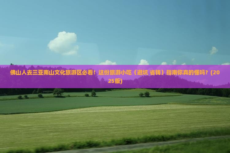 佛山前往三亚南山文化旅游区旅游小吃