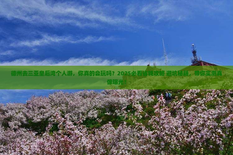 德州去三亚皇后湾个人游