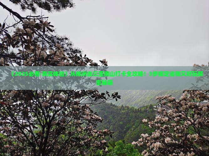 株洲前往三亚南山文化旅游区旅游打卡点