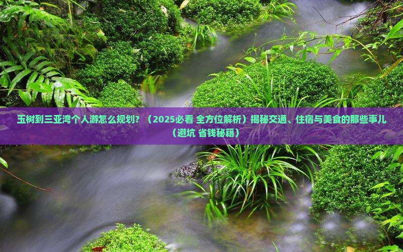 玉树出发三亚三亚湾个人游